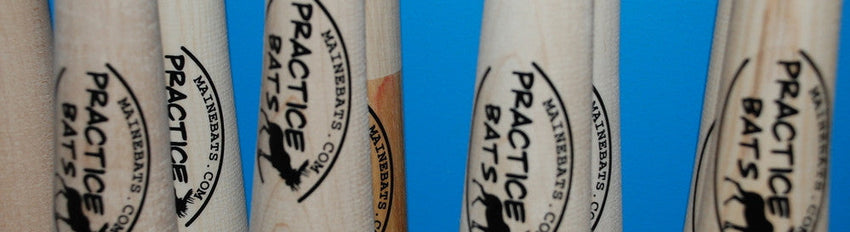 Practice Bats