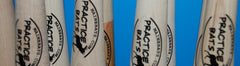 Practice Bats
